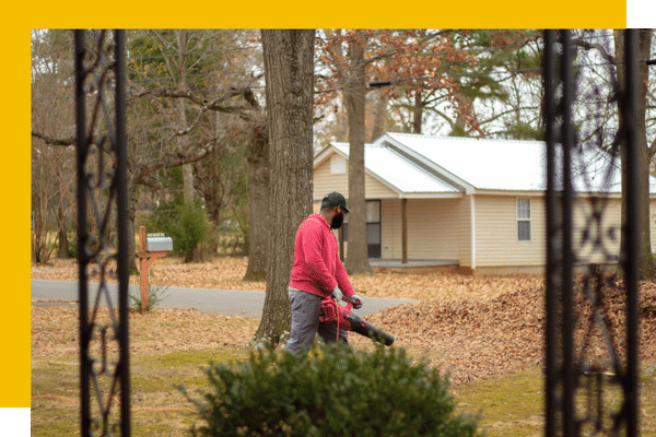 leaf blowing a lawn
