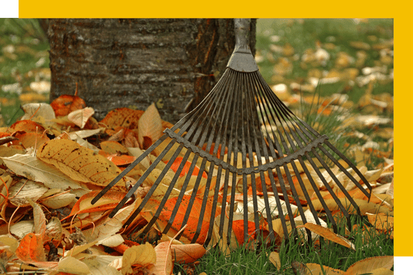 raking leaves